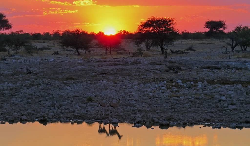Parc Etosha