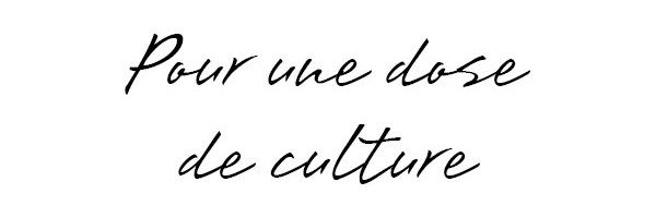 Quels sont les endroits culturels à visiter dans la ville ?