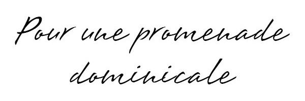 Où se promener le dimanche dans la ville